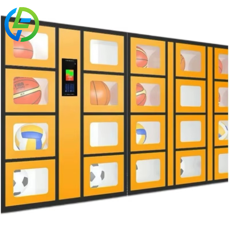 Aangepaste 24-uurs slimme spor - Sports Equipment Locker recensie en prijs
