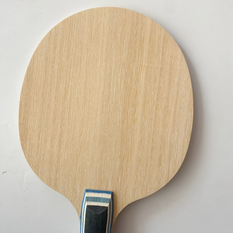 Lemuria VIS Carbon Fiber Tafel - Padel Racket Carbon recensie en prijs